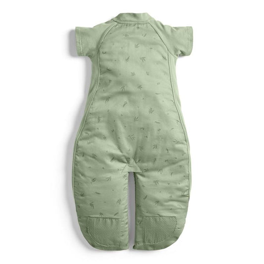 ergoPouch Sleep Suit Bag 1.0 TOG - Willow (2-4 Years)-Auzzi Store