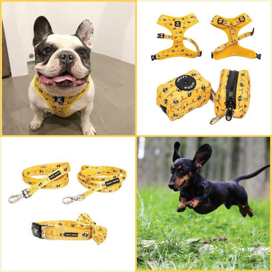 Soapy Moose Small Dog Accessory Pack - Adjustable Neoprene Harness