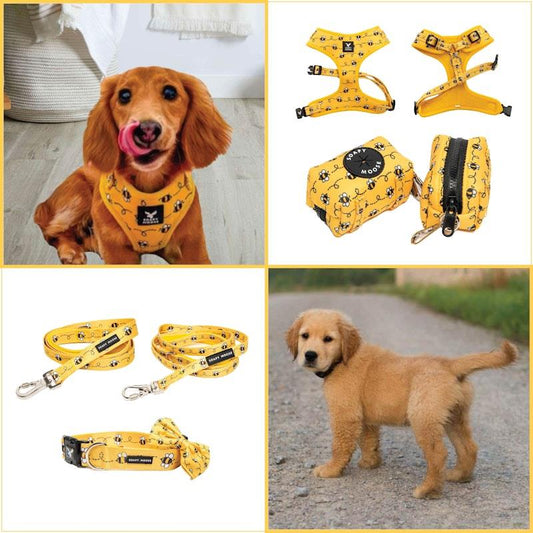Soapy Moose Large Dog Collar, Lead & Poop Bag Pack