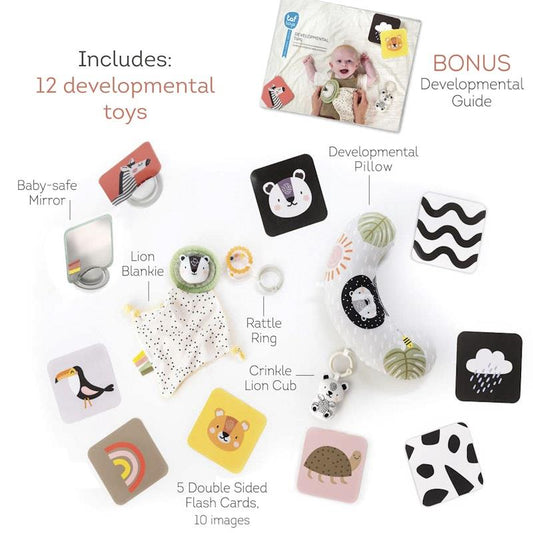 Taf Toys Newborn Develop & Play Kit - Essential Developmental Tools – view 2