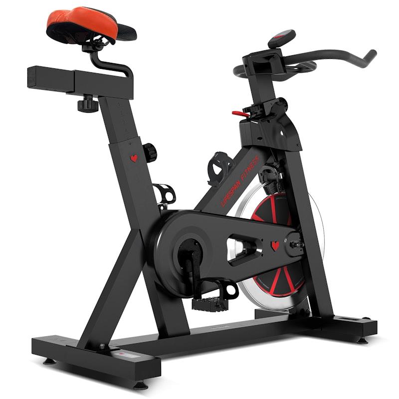 Lifespan Fitness SP310 (M2) Spin Bike - Quality Performance for All Riders