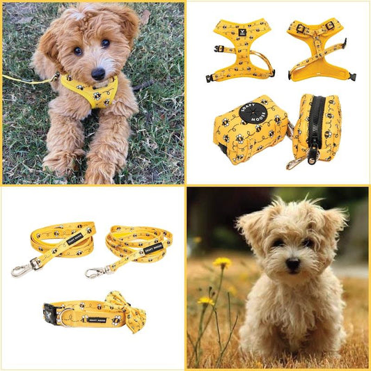 Soapy Moose Extra Small Dog & Cat Accessory Pack