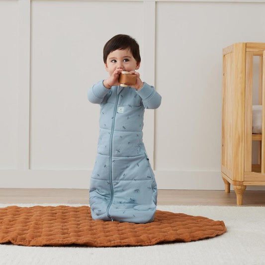 ergoPouch 3.5 TOG Jersey Sleeping Bag for Arms-Out Sleepers - Dragonflies (8-24 Months)-Auzzi Store
