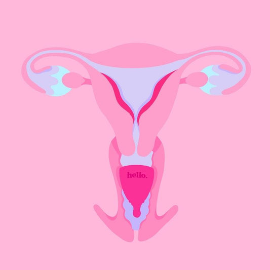 Hello. Period Average Cervix Cup Lilac SML - Stylish & Functional