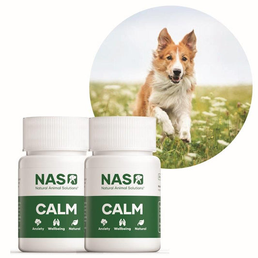 Natural Animal Solutions Pet Calm Pack Bundle-Auzzi Store