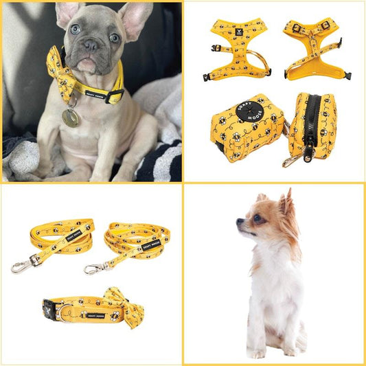 Soapy Moose Small Dog Collar, Lead & Poop Bag Pack