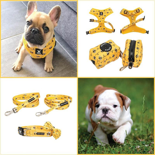Soapy Moose Medium Dog Accessory Pack - Adjustable Neoprene Harness