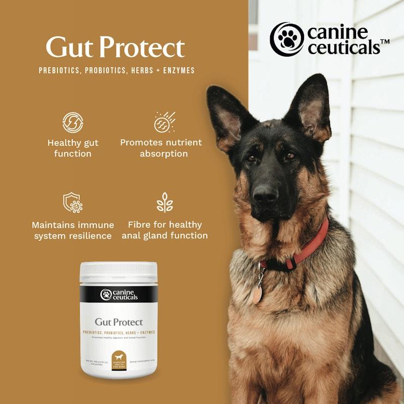 CanineCeuticals Gut Protect 400g - Premium Digestive Formula