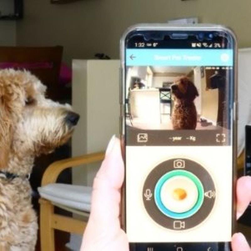 Lentek Smart Pet Treat Tosser with HD Camera - 1 Unit