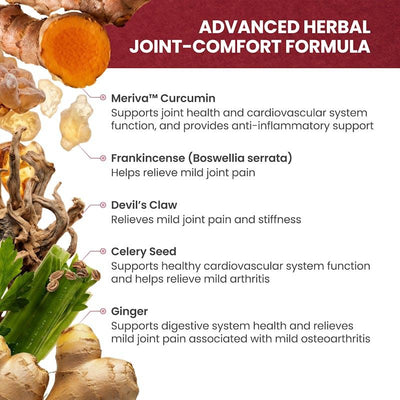 Max Biocare Tregocel® Herbal Immune Support - 1 Unit