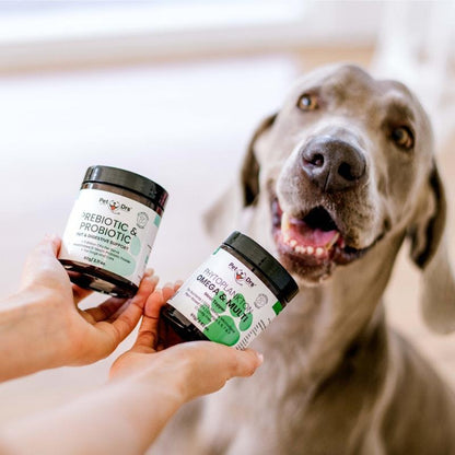 Nourish Pet Co. Itchy Pet Multipack for Skin Relief