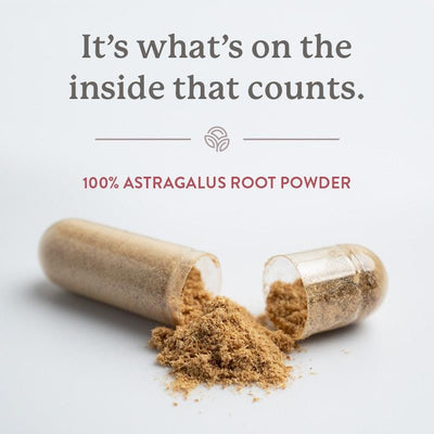 Nature's Sunshine Astragalus 450mg, 100 Capsules for Immune Support