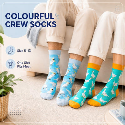 Sock Exchange 8 Pairs of Fashion Novelty Funny Socks - One Size 5-13
