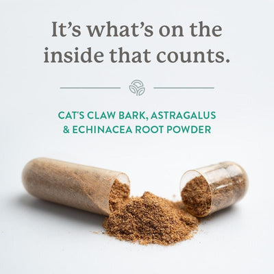 Nature's Sunshine Cat's Claw, Astragalus & Echinacea Combo - 100 Capsules