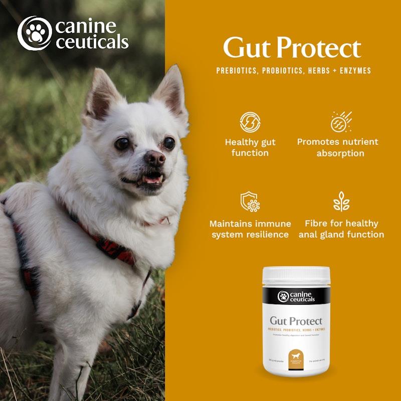 CanineCeuticals Gut Protect 200g - Natural Digestive Support