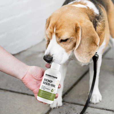 HOUNDZTOOTH Hemp Seed Oil for Dogs - 250ml