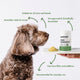 HOUNDZTOOTH Prodigestive Aid Health Supplement for Dogs 200g - Natural Digestive Support – view 5 - Auzzistore