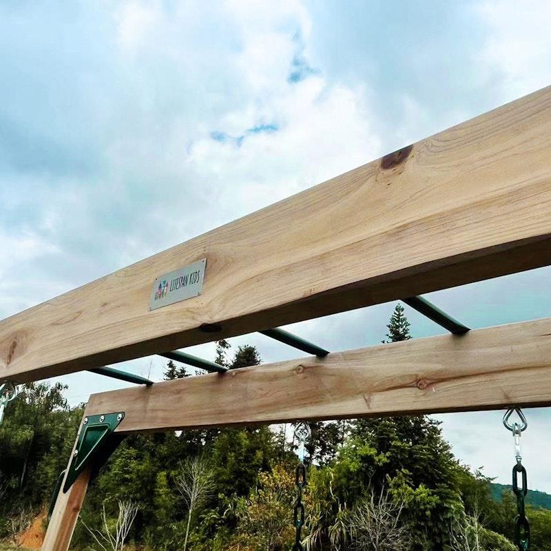 Lifespan Kids Daintree 2-in-1 Monkey Bars & Swing Set - One Size