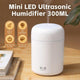 Living Today Mini LED Ultrasonic Humidifier - 300ML 1 Unit – view 7 - Auzzistore