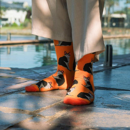 Sock Exchange 8 Pairs of Fashion Novelty Funny Socks - One Size 5-13-Auzzi Store