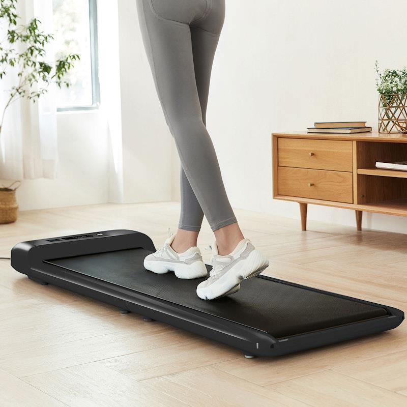 Lifespan Fitness WalkingPad™ M2 Treadmill - Compact Home Fitness