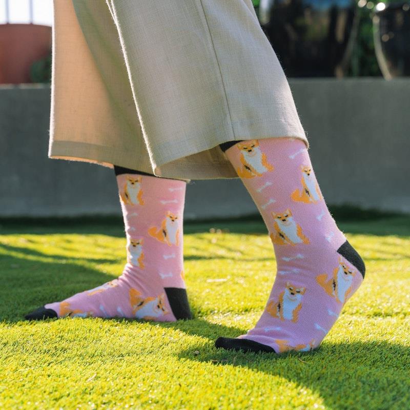 Sock Exchange 8 Pairs of Fashion Novelty Funny Socks - One Size 5-13-Auzzi Store