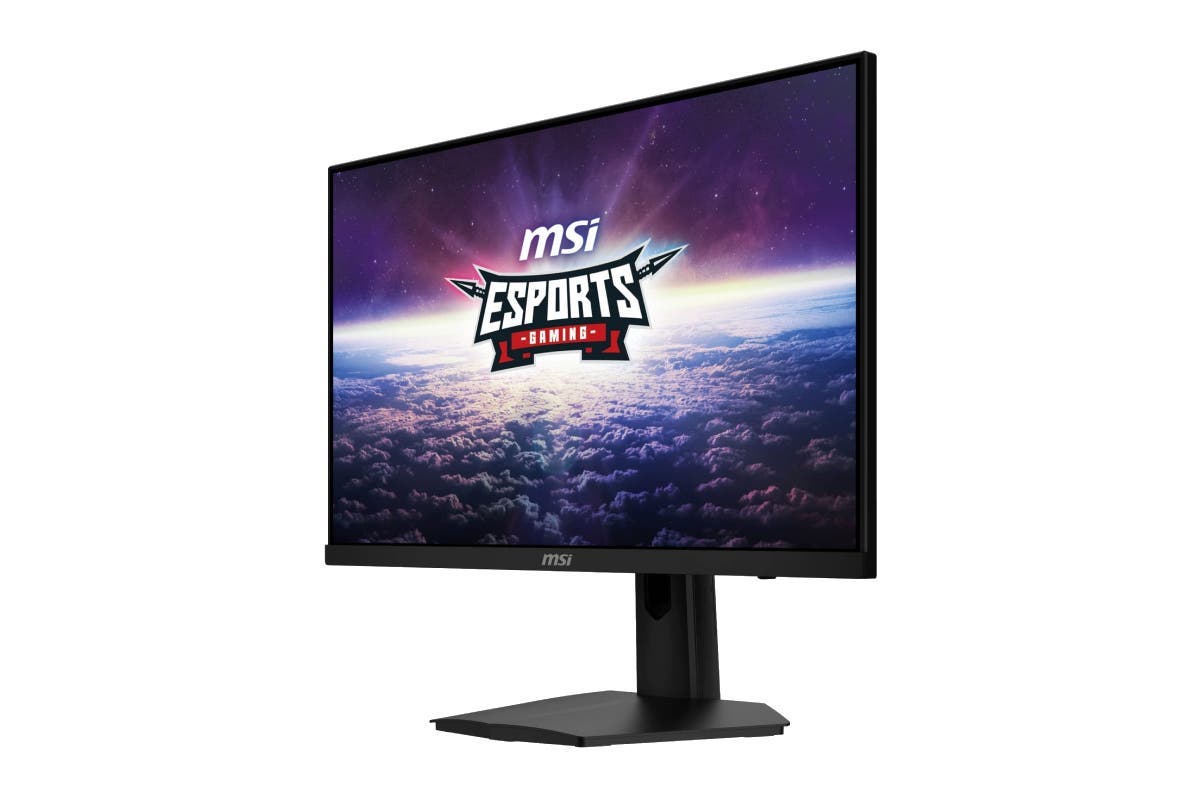 MSI 23.8" Full HD 180Hz FreeSync Premium Gaming Monitor (G244FE2)