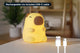 Rechargeable Soft Capybara Night Light - Auzzistore