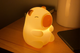 Rechargeable Soft Capybara Night Light - Auzzistore