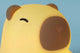 Rechargeable Soft Capybara Night Light - Auzzistore