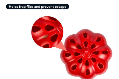 Fruit Fly Trap Kit - 4 Pack