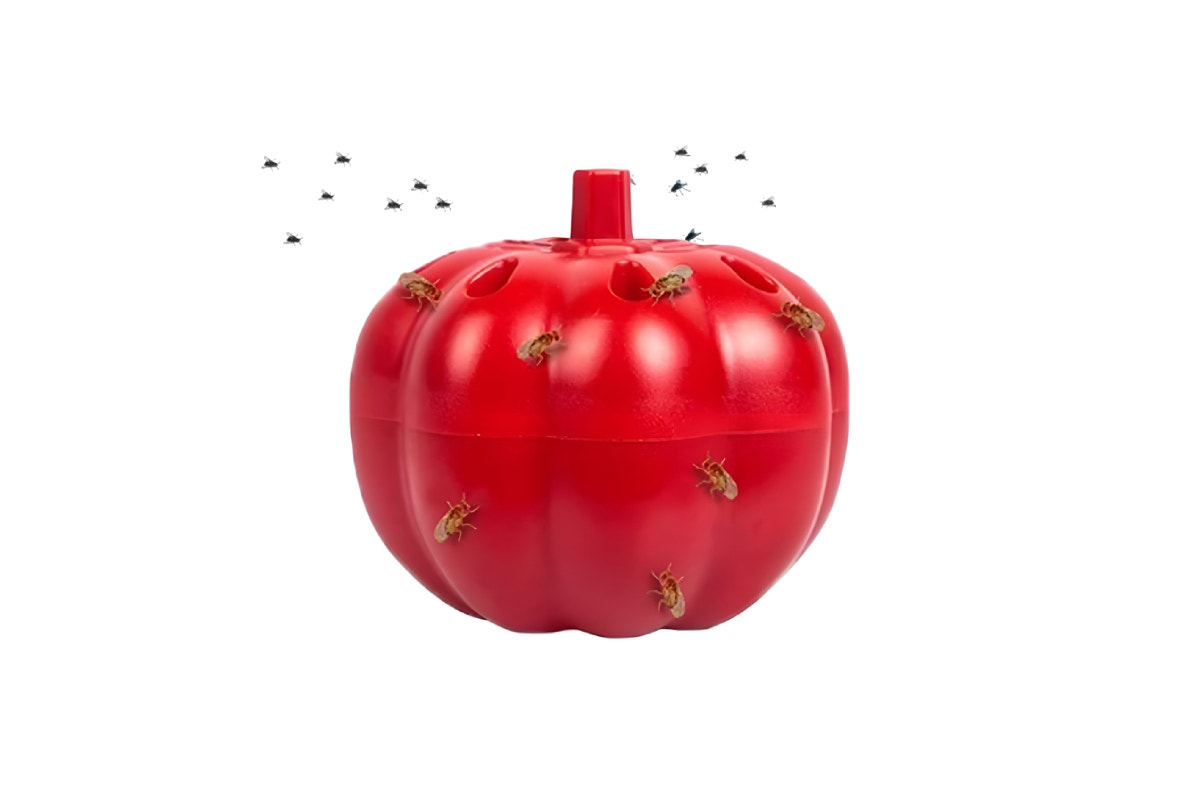 Fruit Fly Trap Kit (4 Pack)
