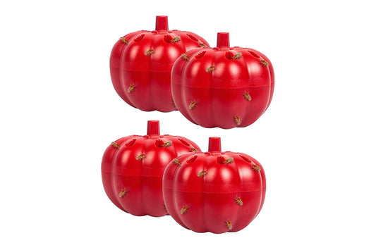 Fruit Fly Trap Kit (4 Pack) - Auzzistore