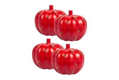 Fruit Fly Trap Kit - 4 Pack