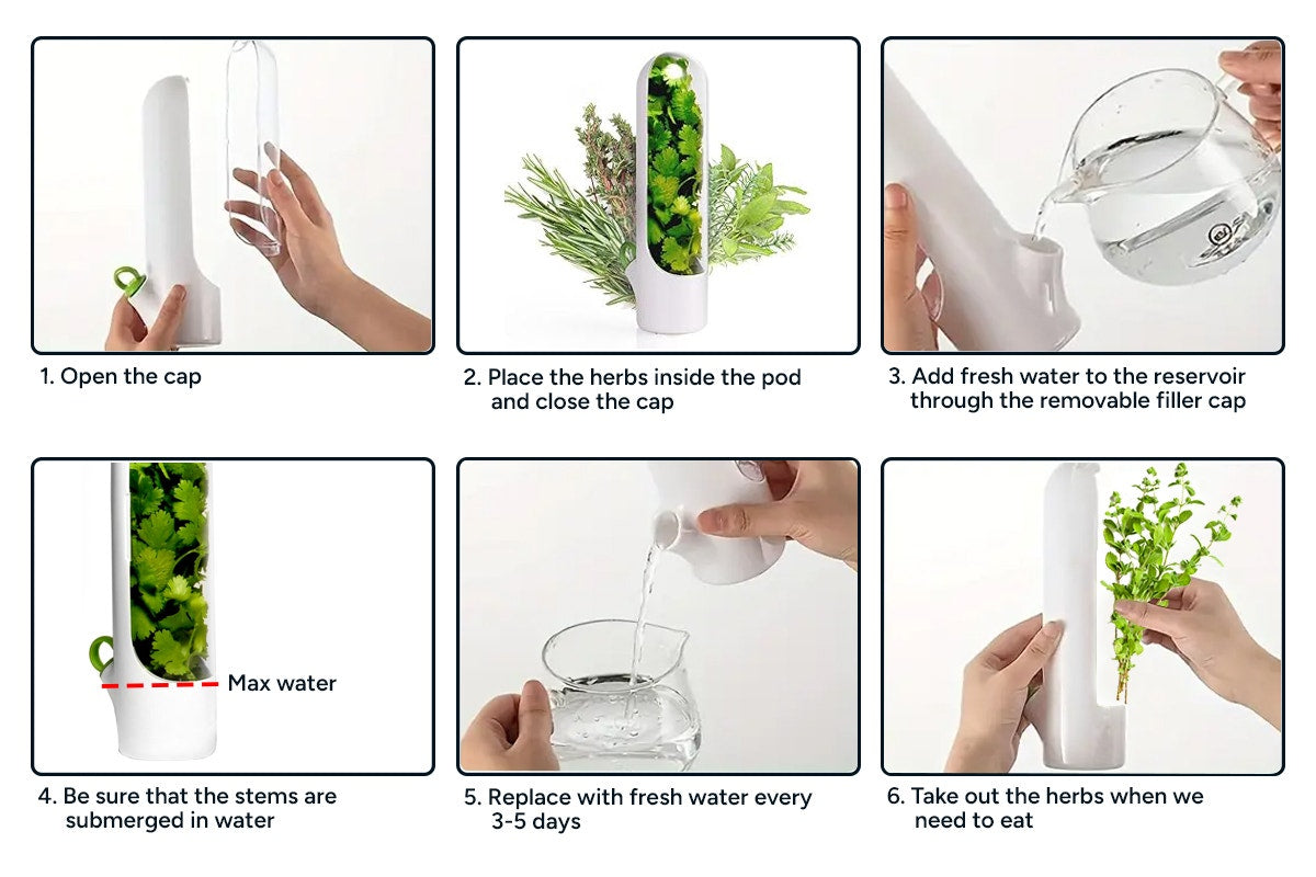 Herb Preservation Pods (4 Pack)