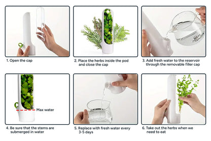 Herb Preservation Pods (4 Pack)
