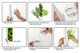 Herb Preservation Pods (4 Pack)