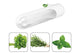 Herb Preservation Pods (4 Pack)