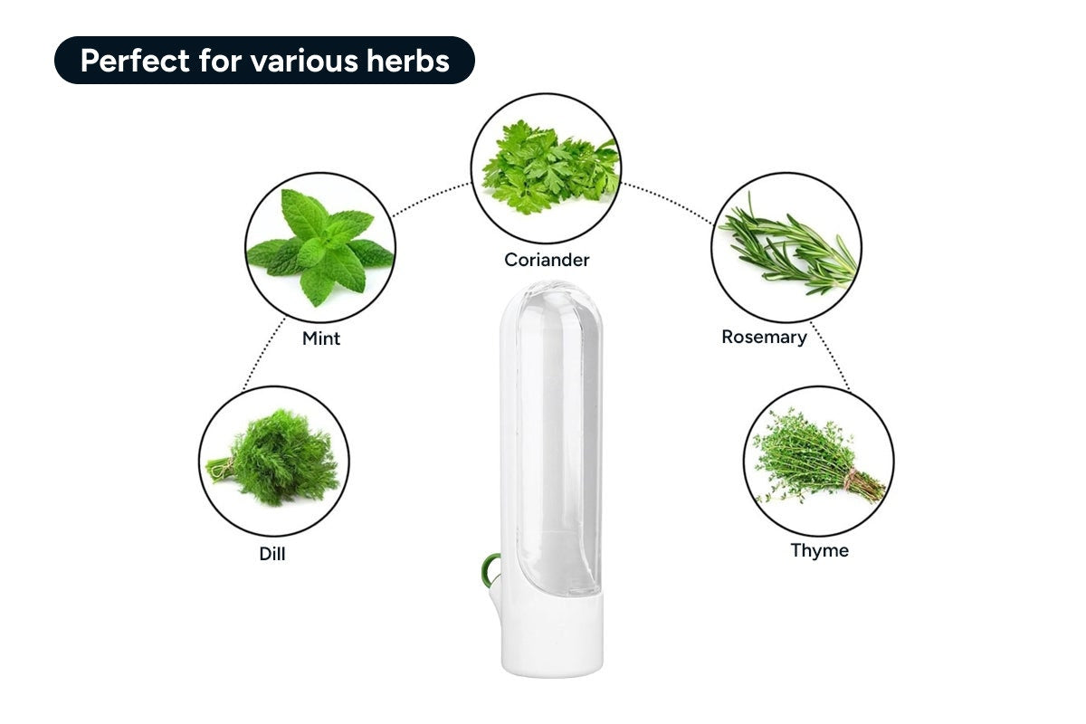 Herb Preservation Pods (4 Pack)