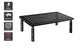 Height Adjustable Ergonomic Laptop and Monitor Stand
