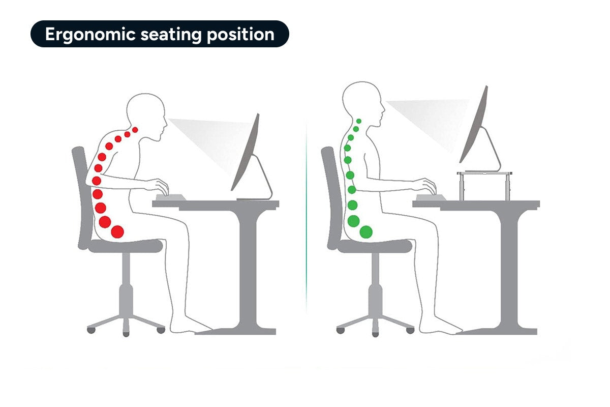 Height Adjustable Ergonomic Laptop and Monitor Stand