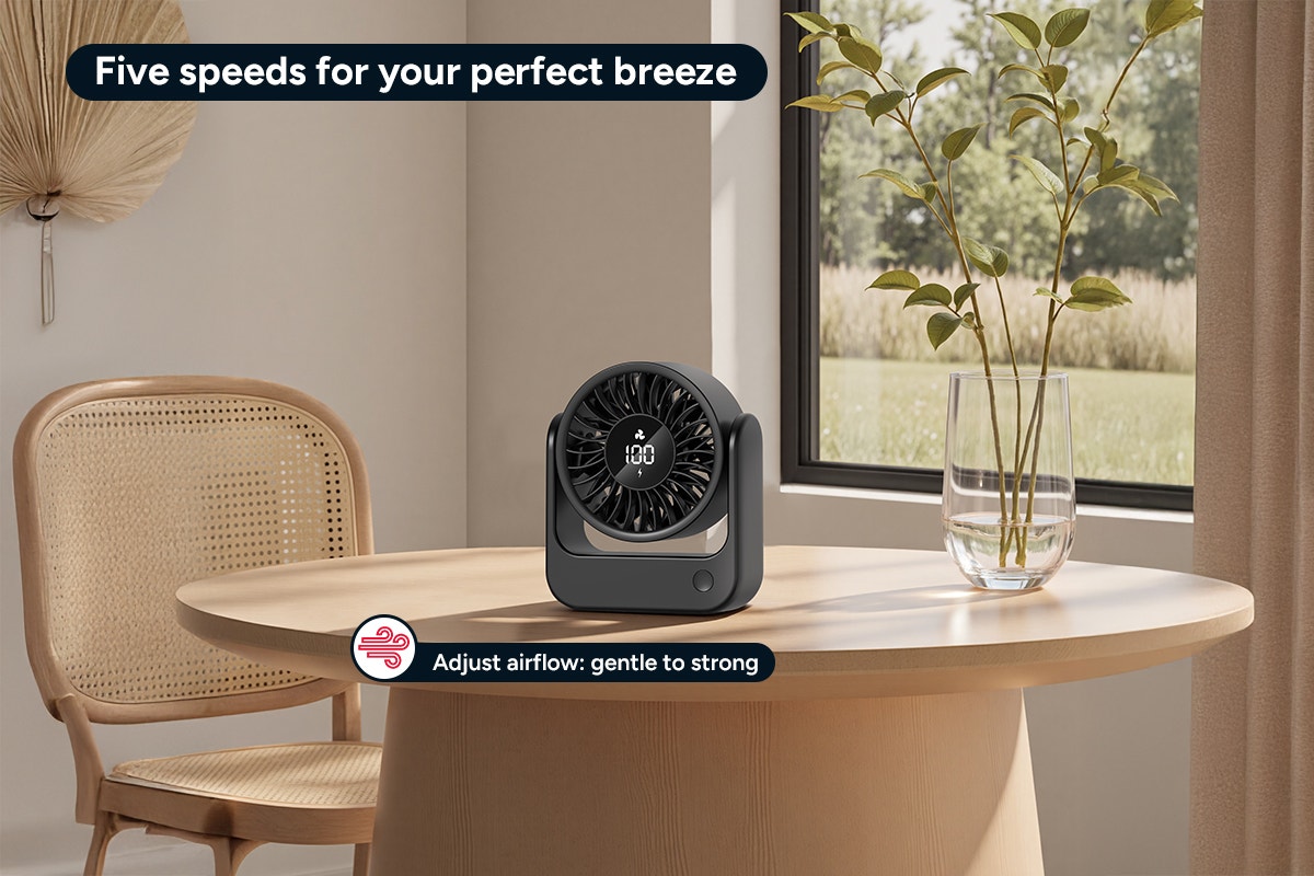 Portable Desktop Fan