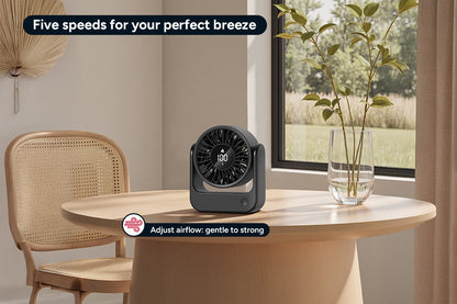 Portable Desktop Fan