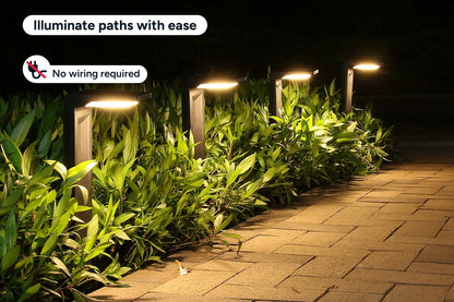 Outdoor Solar Landscape Pathway Lights (4 Pack)