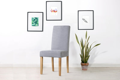Ovela Set of 2 Kyran Fabric Dining Chairs