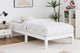 Ovela William Wood Bed Frame (White, Single)