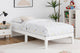 Ovela William Wood Bed Frame (White, Single)