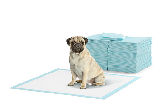 Pawever Pets 200 Pack Puppy Training Pads (Blue)