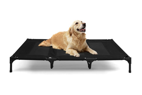 Pawever Pets Dog Trampoline Bed (X Large) - Auzzistore