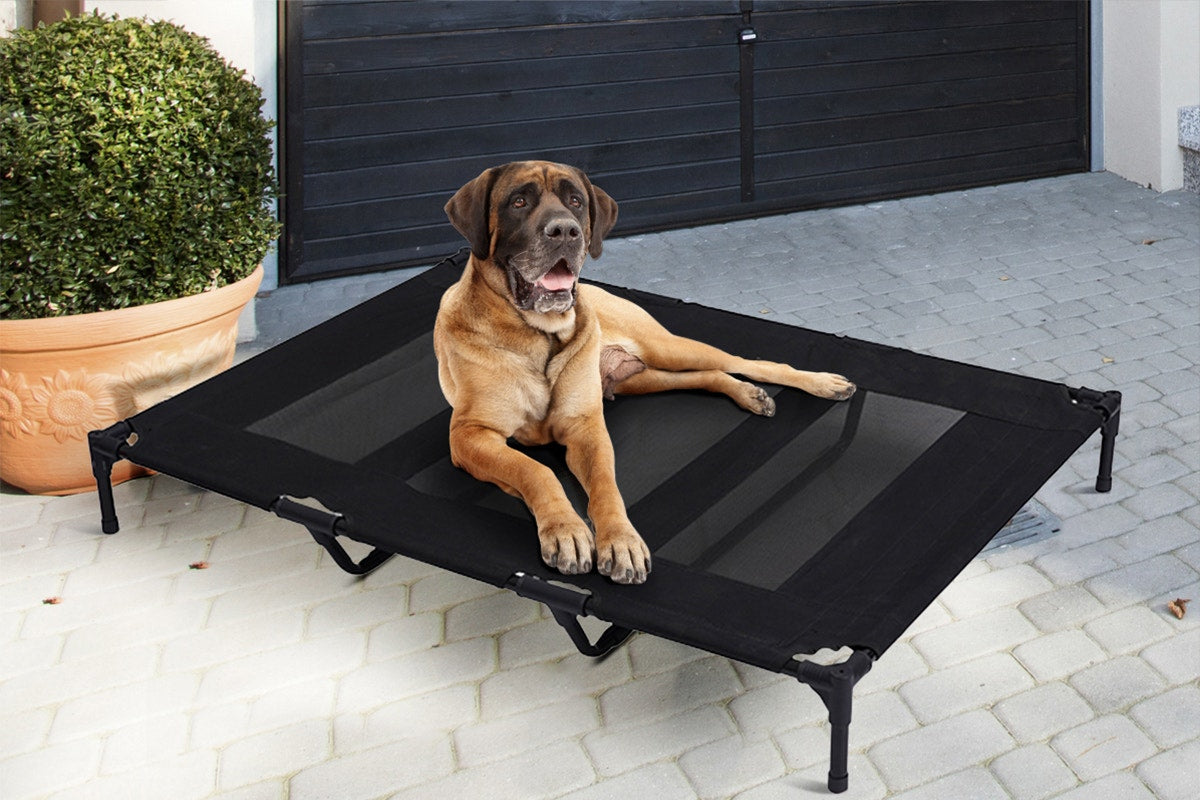 Pawever Pets Dog Trampoline Bed (X Large)